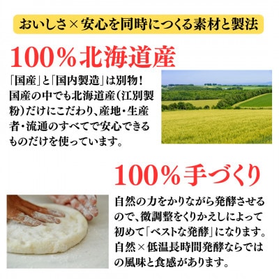 【ナポリのピザ生地 170g 10個】17-25cm分 ★本格ピザを自宅で★失敗しないマニュアル付