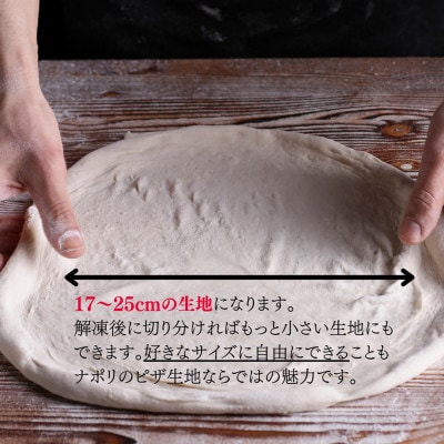 【ナポリのピザ生地 170g 10個】17-25cm分 ★本格ピザを自宅で★失敗しないマニュアル付