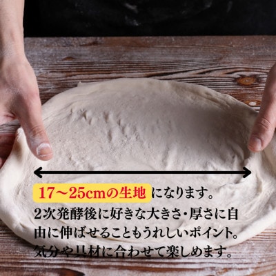 【ナポリのピザ生地 170g 10個】17-25cm分 ★本格ピザを自宅で★失敗しないマニュアル付