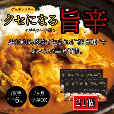 発酵スパイスカレー21個 ★生100%の発酵の力で生まれる「極旨味」でクセになる旨辛 グルテンフリー
