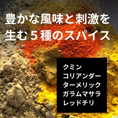 発酵スパイスカレー21個 ★生100%の発酵の力で生まれる「極旨味」でクセになる旨辛 グルテンフリー