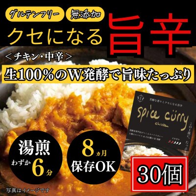 発酵スパイスカレー30個 ★白山麓のW発酵とスパイス5種  クセになる旨辛 グルテンフリー&無添加