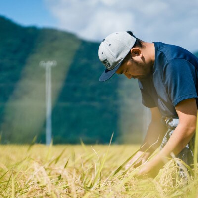 【お米のおくりもの 1合×3個】石川県白山麓のお米　★九谷五彩デザインのオリジナルパッケージ★