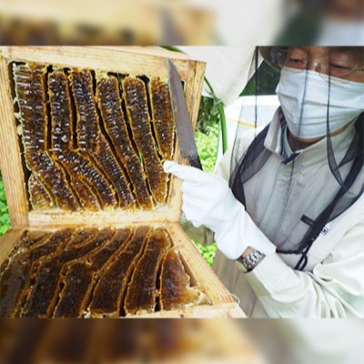 石川県白山市産　純粋日本はちみつ　白山ひめみつ　150g×2瓶