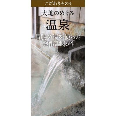 温泉塩麹 〈130g×1瓶〉 秘湯中宮温泉を使って発酵させた塩こうじ 国産米100% 保存料無添加