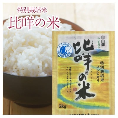 特別栽培米　比咩の米(白山麓コシヒカリ)精米5kg