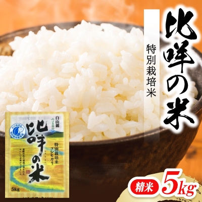 特別栽培米　ヒメの米(白山麓コシヒカリ)精米5kg