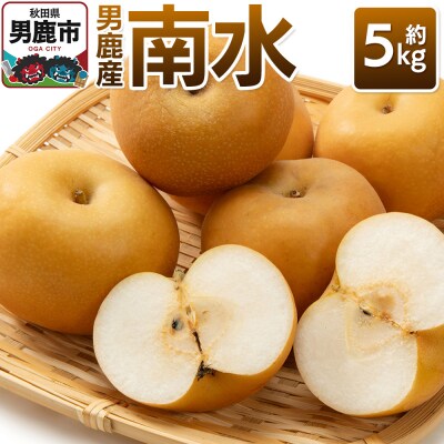 【令和8年度 早期受付】 南水 約5kg秋田県 男鹿ファーム直売所|23_ofc-040501