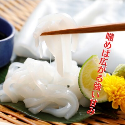 【便利な個包装】高級朝どれ白いか丸ごと3本セット【ぜひお刺身で!】