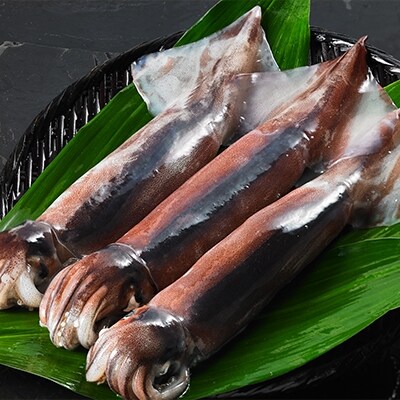 【ふるさと納税】海士のいか詰め合わせセット