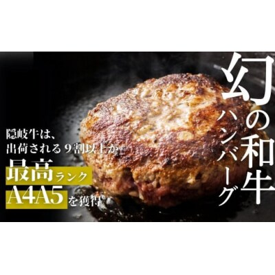 【A5・A4等級】黒毛和牛・隠岐牛プレミアム生ハンバーグ6個 900g