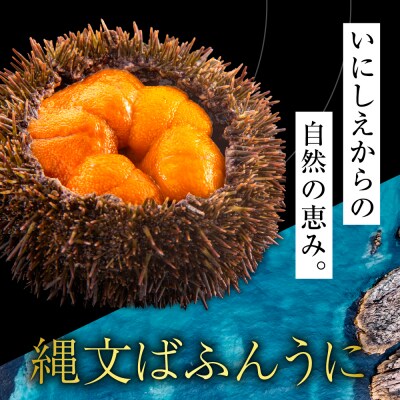 縄文ばふんうに(日高昆布入)80g×2(塩水ウニ)【er001-038-b】