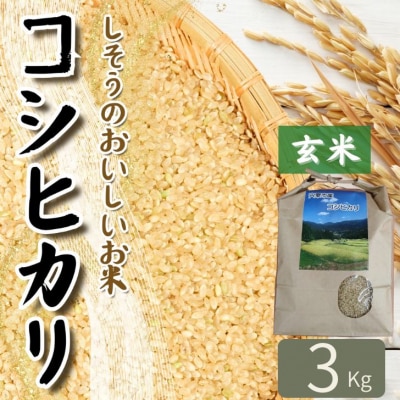 K9 しそうのおいしい お米 コシヒカリ 玄米 3kg