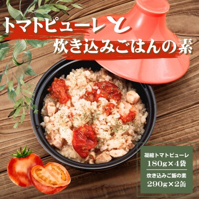 田中農園の凝縮トマトピューレ&炊きこみご飯セット　AP1