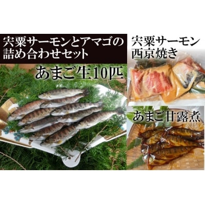 宍粟サーモンとあまごの詰め合わせセット AU3