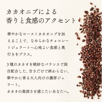 ジェラテリア TiG イタリアンジェラート グランカカオチョコレート2L|01_abo-060101