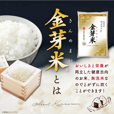 令和7年産 金芽米 サキホコレ 5kg|01_tyr-010501