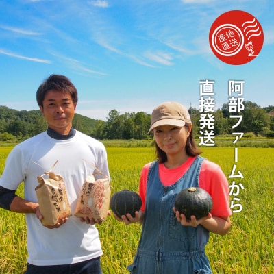 【2026年産】かぼちゃ10kg阿部ファーム産ダークホース【AE-001】