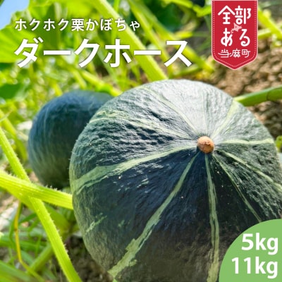 【2026年産】かぼちゃ5kg阿部ファーム産ダークホース【AE-002】