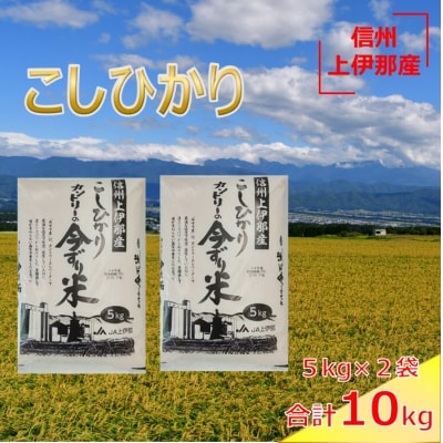 令和7年　信州　長野県　上伊那産　コシヒカリ　今ずり米　10kg　(5kg×2袋)