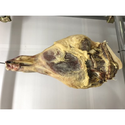 BUTCHER　守屋山麓　生ハム