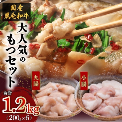 黒毛和牛!大人気のもつ(ホルモン)セット　K002-006