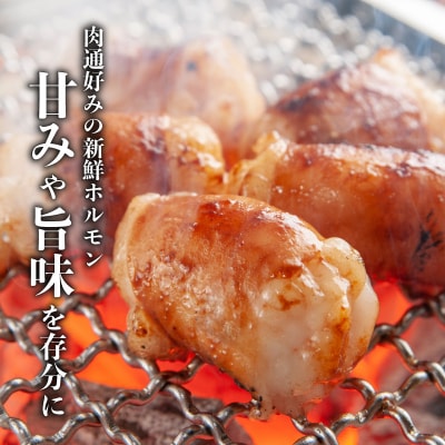 牛もつ(ホルモン)食べ尽くし!オールスターセット　K002-008