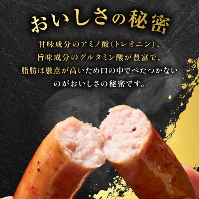 種豚場がお届けする鹿児島伝統の黒豚 黒胡椒の効いた黒豚ウインナー　K125-002