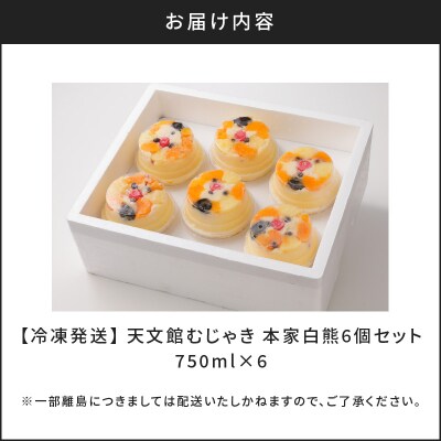 天文館むじゃき　本家白熊6個セット　K009-001