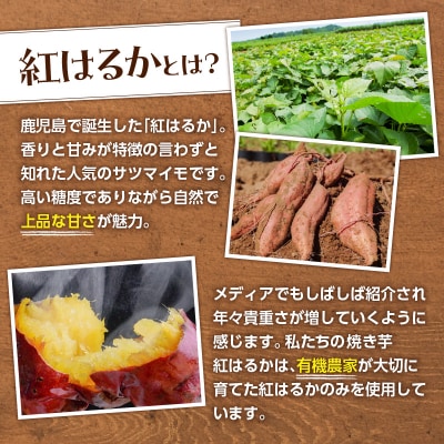 冷凍焼き芋(紅はるか)1.6kg　K015-005