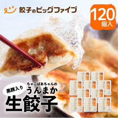 ちゃこばあちゃんの黒豚入りうんまか生餃子 120個入り　K027-003