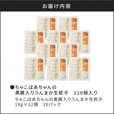 ちゃこばあちゃんの黒豚入りうんまか生餃子 120個入り　K027-003