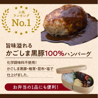【7営業日以内に発送】かごしま黒豚炙り焼き&かごしま黒豚ハンバーグセット　K045-002