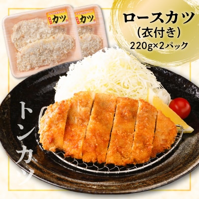 【ナンチクファクトリー】鹿児島県産豚かつ・味噌漬けセット 計1kg(C)　K073-004