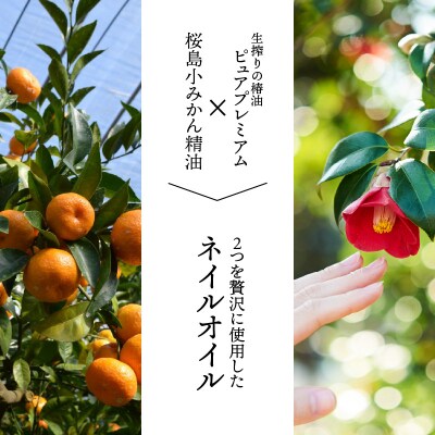 桜島つばきネイルオイル　3本セット　K062-018