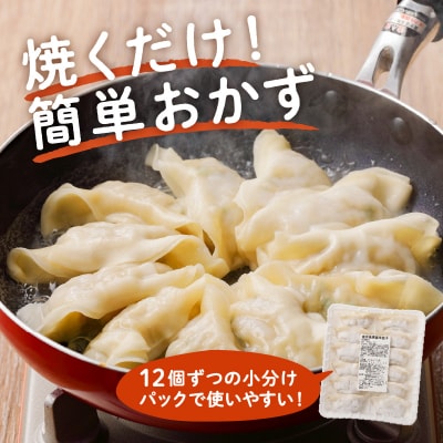 国産素材にこだわった黒豚餃子120個　K111-015