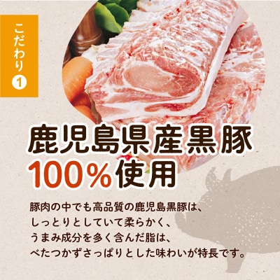 国産素材にこだわった黒豚餃子120個　K111-015