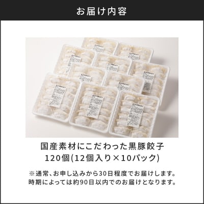 国産素材にこだわった黒豚餃子120個　K111-015