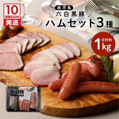 【10営業日以内に発送】鹿児島黒豚 ハムセット　K091-001