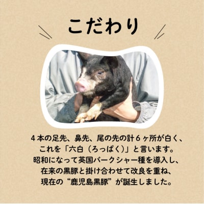 【10営業日以内に発送】鹿児島黒豚 ハムセット　K091-001