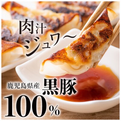 「照照」黒豚餃子　K061-001