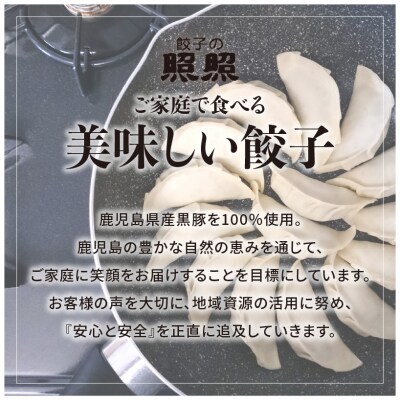 「照照」黒豚餃子　K061-001