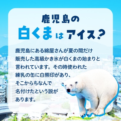 セイカ食品 南国白くまDX詰め合わせセット　K051-002