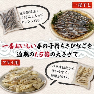 【津曲商店】きびなご一夜干し、フライ用詰合せ 1kg　K100-001