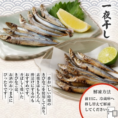 【津曲商店】きびなご一夜干し、フライ用詰合せ 1kg　K100-001