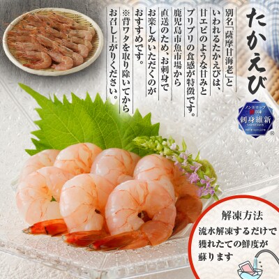 【津曲商店】きびなご、刺身用たかえびセット 2.2kg　K100-002