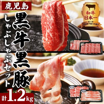 鹿児島黒牛・黒豚しゃぶしゃぶセット 計1.2kg(A-1501)　K127-001