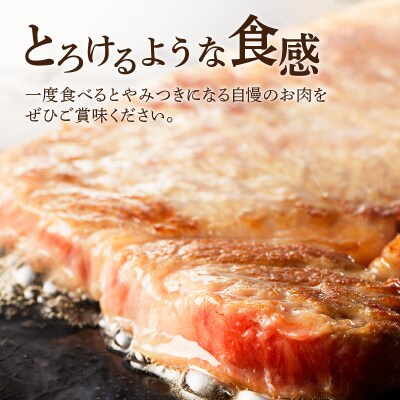 サーロインステーキ　K189-005
