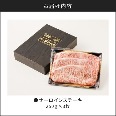 サーロインステーキ　K189-005
