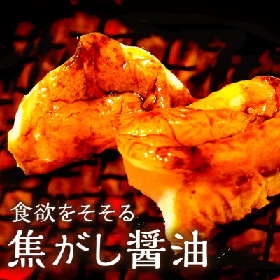 【5営業日以内に発送】ヒシク藤安醸造 極あまくち専醤 K026-002
